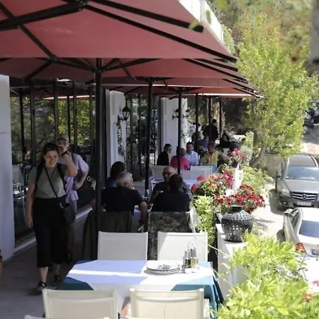 D Hotel-restaurant-private Hotel