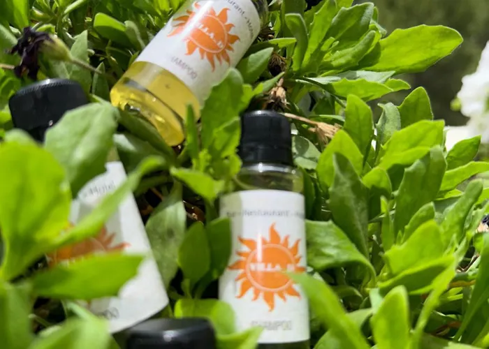 D Hotel-restaurant-private